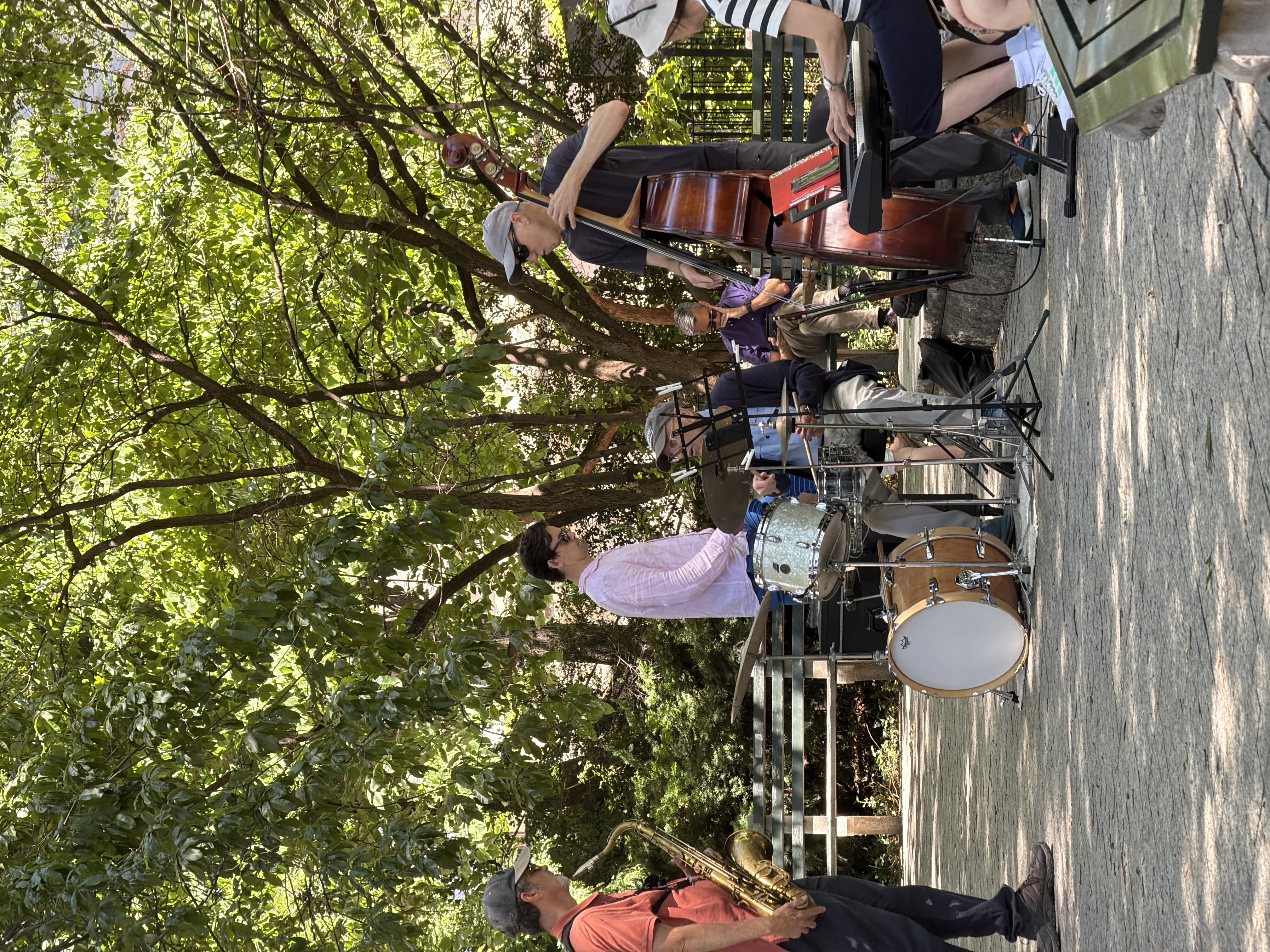 Enjoying a lovely jazz performance in Central Park while trying to figure out the right business model for Kinsight
